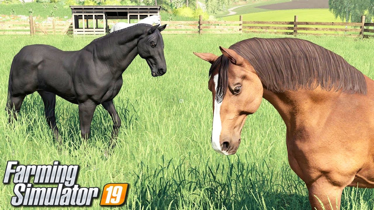 Kupiłem konie - Farming Simulator 19 | #17