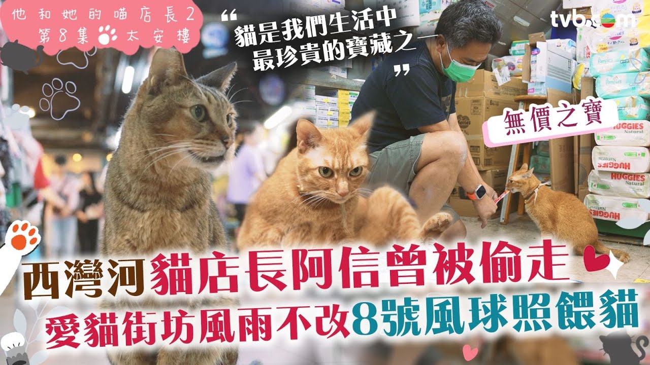 #他和她的喵店長2