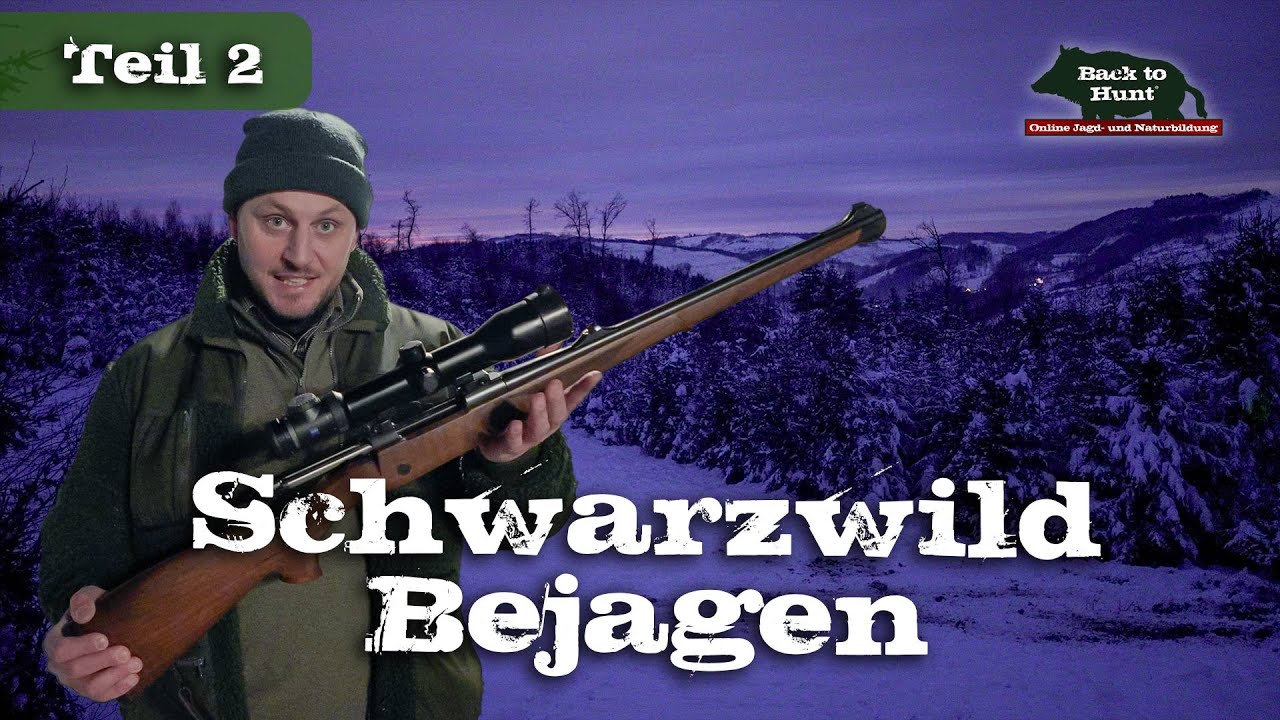 Ansitz auf Schwarzwild | Teil 2 | Jagd im Mondschein