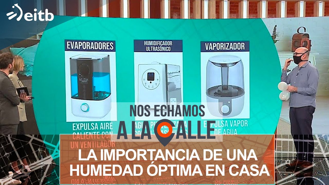 La importancia de una humedad óptima en casa