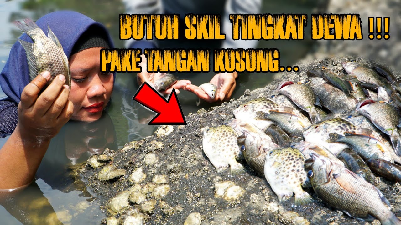 Menangkap Ikan Paling Bar - Bar Cuma Pake Tangan Kosong