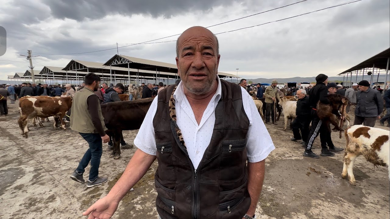 ŞARKIŞLA HAYVAN PAZARI VET HEKİM BAHADIR EKREN