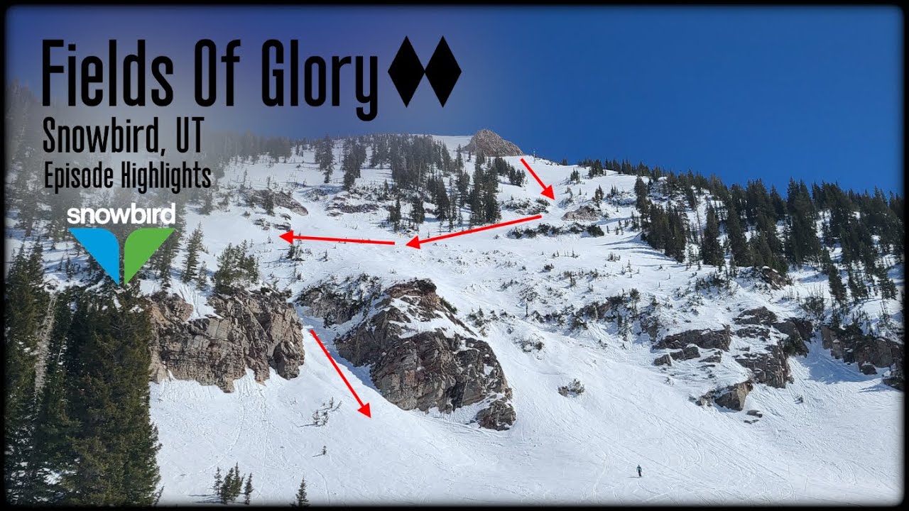 Fields of Glory - Snowbird (3/26/25)