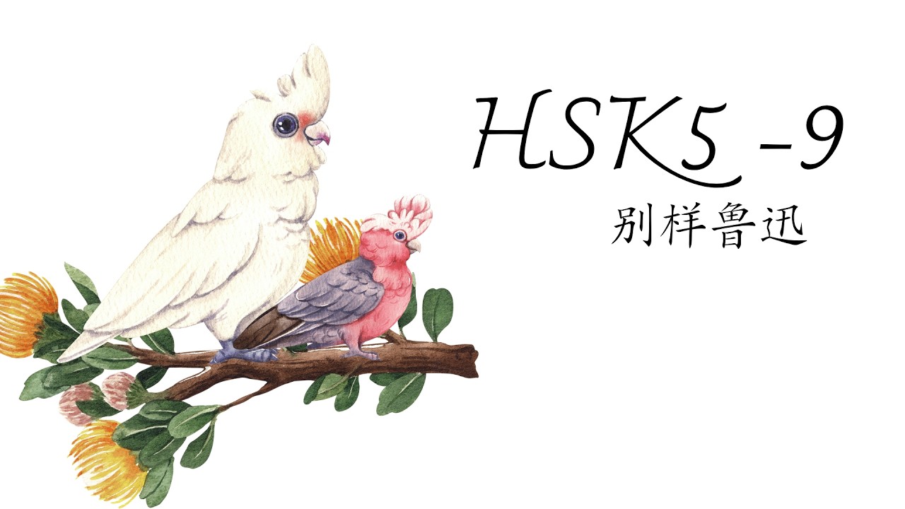 (2.0) HSK5-9: 别样鲁迅/Một Lỗ Tấn khác/ GT tiêu chuẩn HSK5