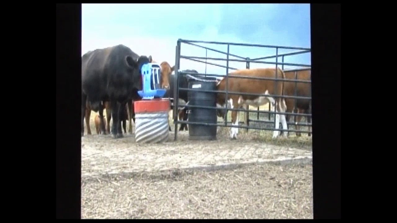 Frostfree Nosepumps Calf Creep Waterer Attachment