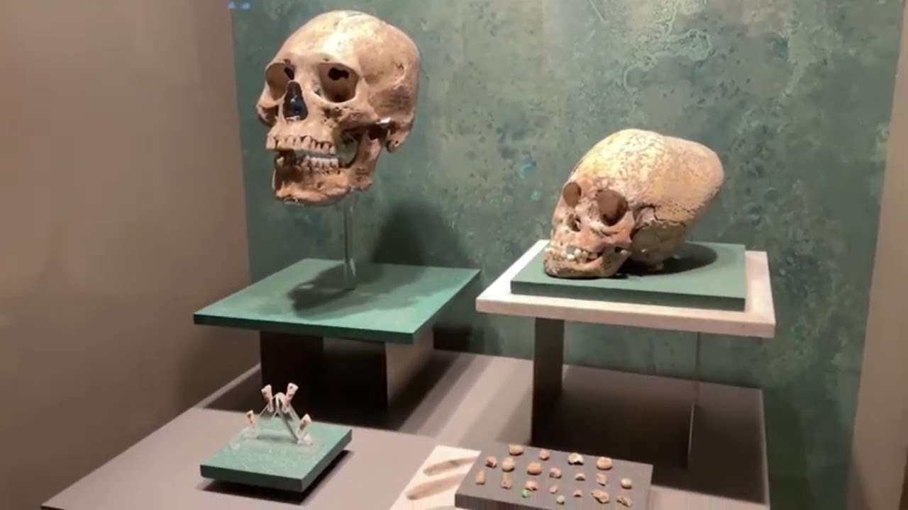 Museo de Antropología de la Ciudad de México  Parte 1 Todos a Bordo Jorge y Jeimmy
