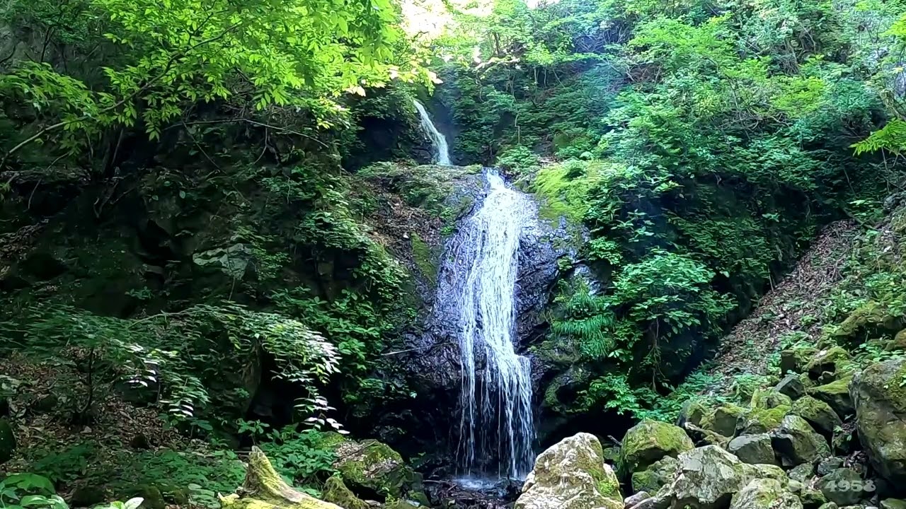 【532-17】【ゴハンギョウの滝】【東京都 奥多摩町】 【ブッチの3分タッキング】【202306】【1080ｐ60fps】【Japan waterfalls】