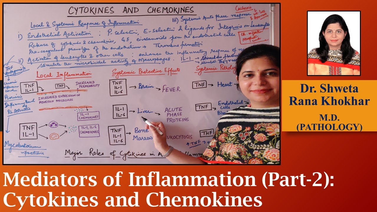 Mediators of Inflammation (Part- 2): Cytokines and Chemokines