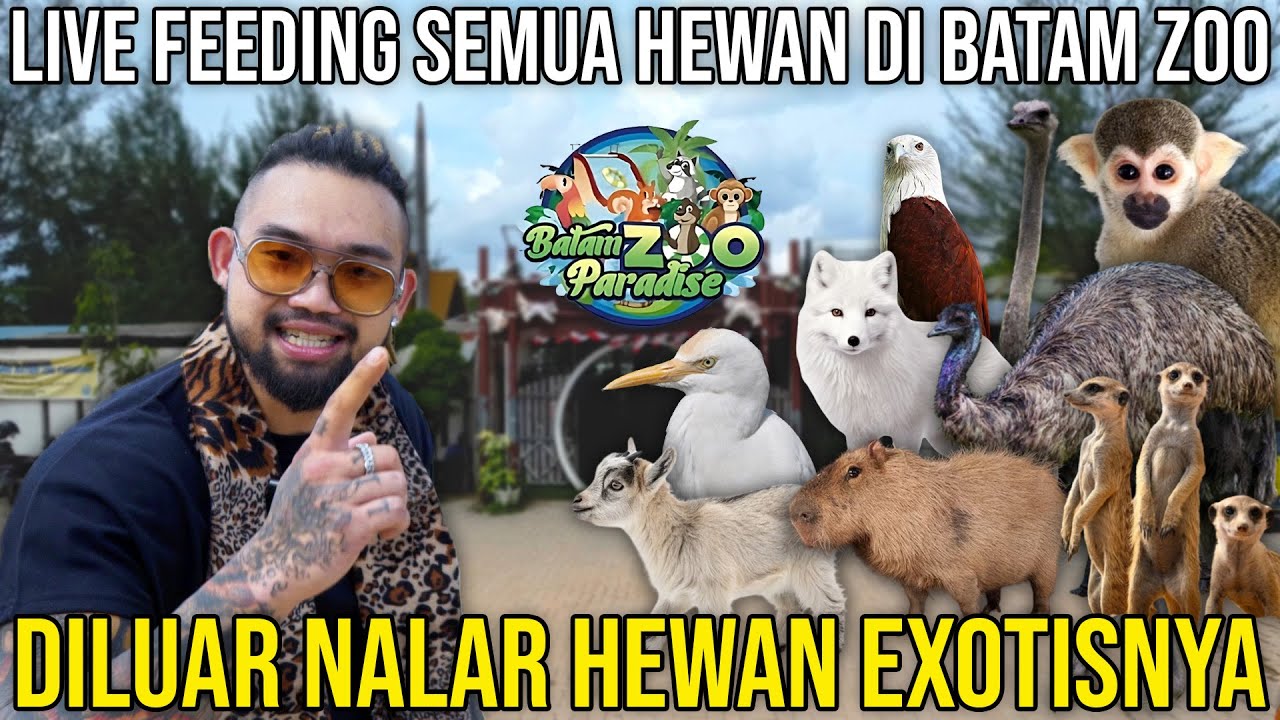 lIVE FEEDING SEMUA HEWAN DI BATAM ZOO. DILUAR NALAR HEWAN  EXOTIS NYA. BATAM ZOO 