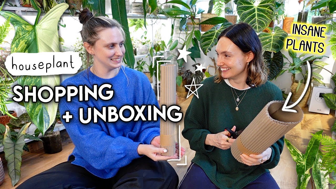 Mystery Plant Shopping for Each Other + HAUL 🌿