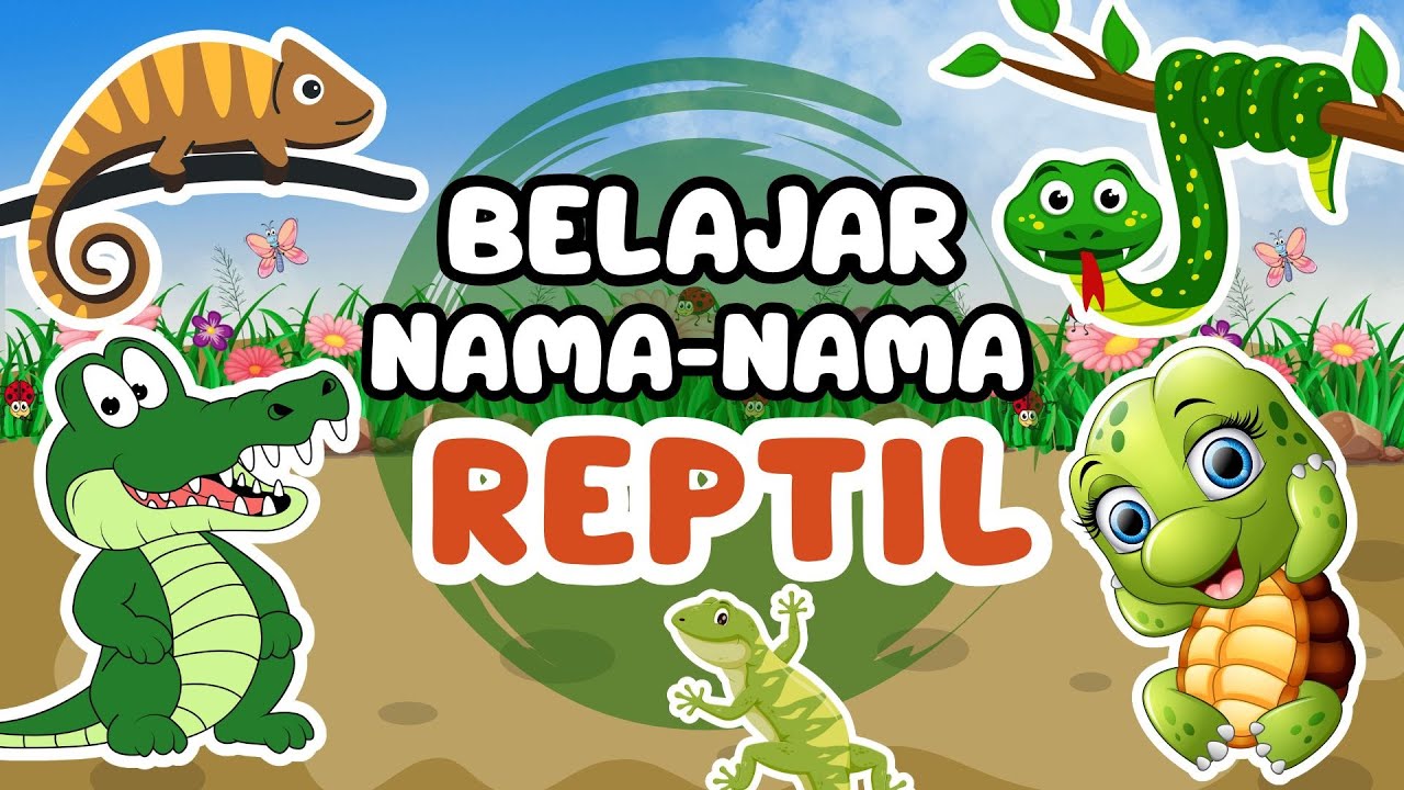 Yuk, Kenalan dengan Reptil! Ada Ular, Kura-Kura, dan Kadal! 🐍🐢🦎