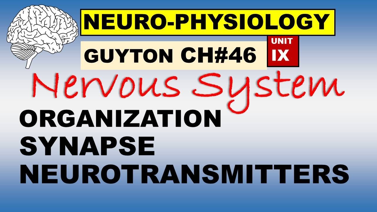 Ch#46 Physiology Guyton | Neurophysiology | Organization | Synapses | Neurotransmitters