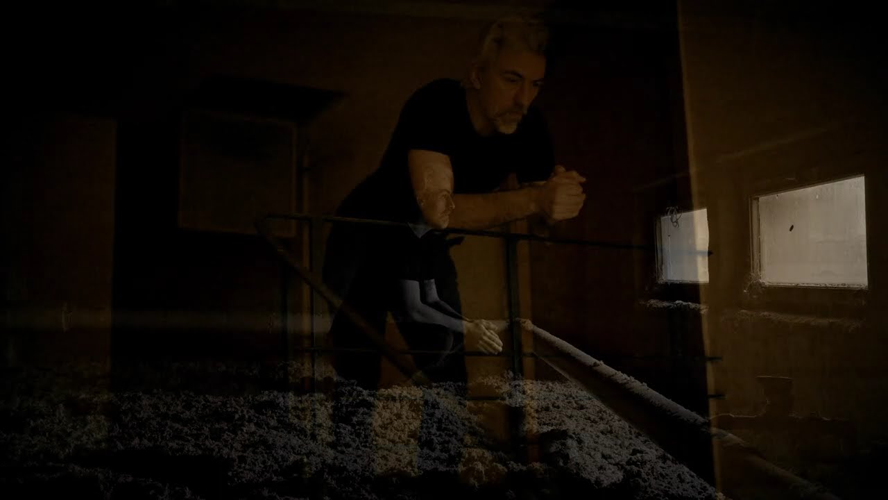 My Crying Light - Disharmony (Official music video)