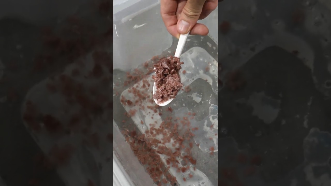 These pop rocks are explosive