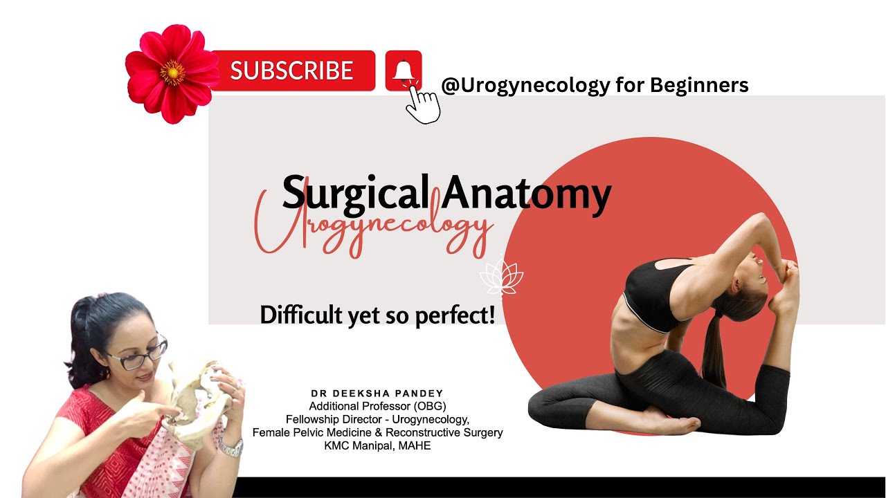 Anatomy and Surgical Hacks in Urogynecology | Anatomy of Pelvic Floor | Dr Deeksha Pandey