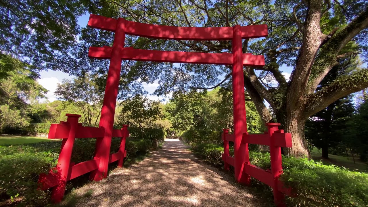 Jardín Botánico Santo Domingo  4K