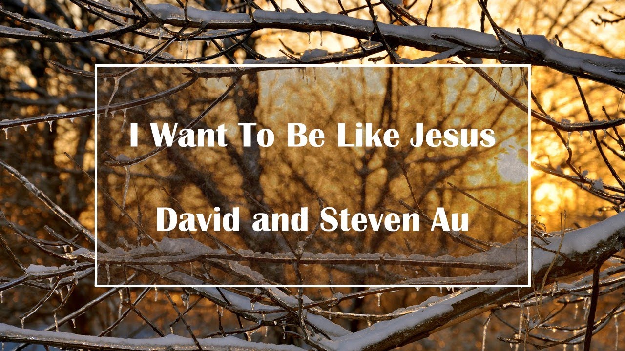 I Want To Be Like Jesus - David and Steven Au (Lyrics)