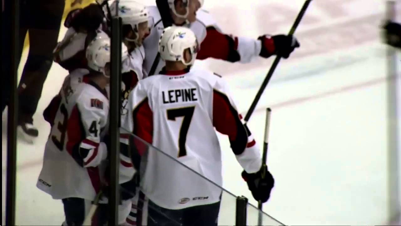 Highlights 3/16/15 Binghamton Senators 8 - Adirondack Flames 7 OT