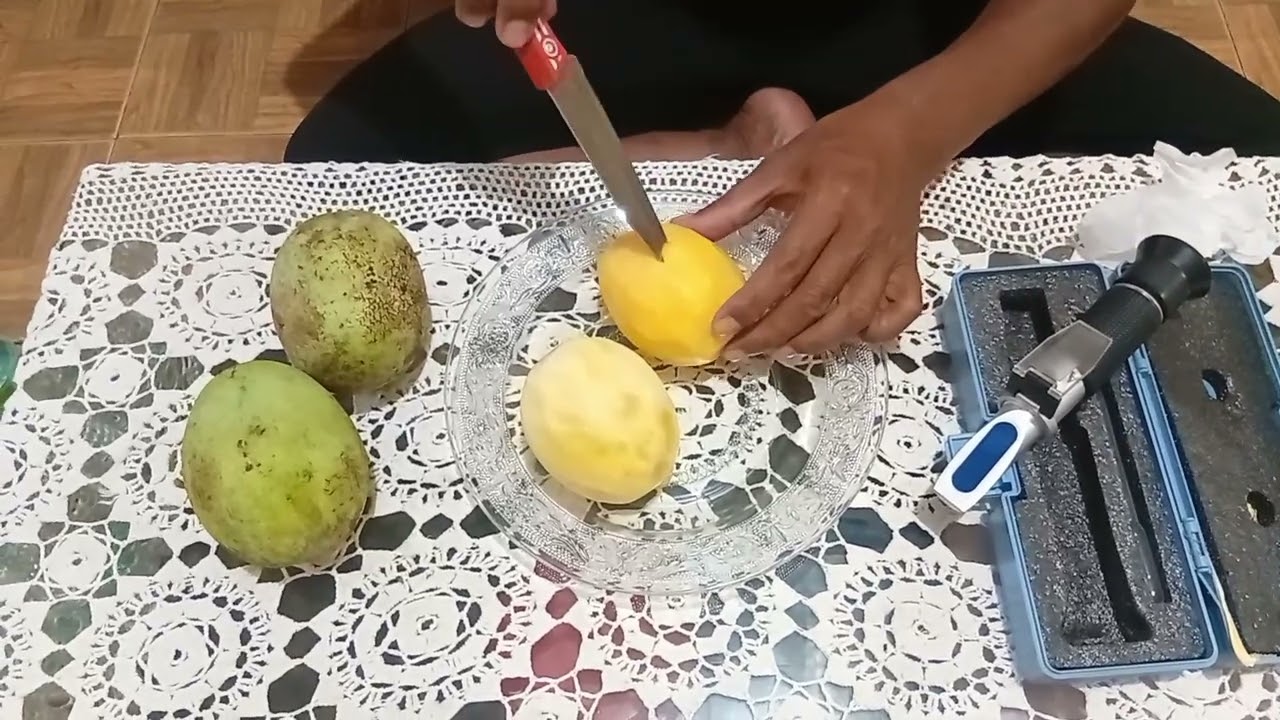 Mangga Manalagi