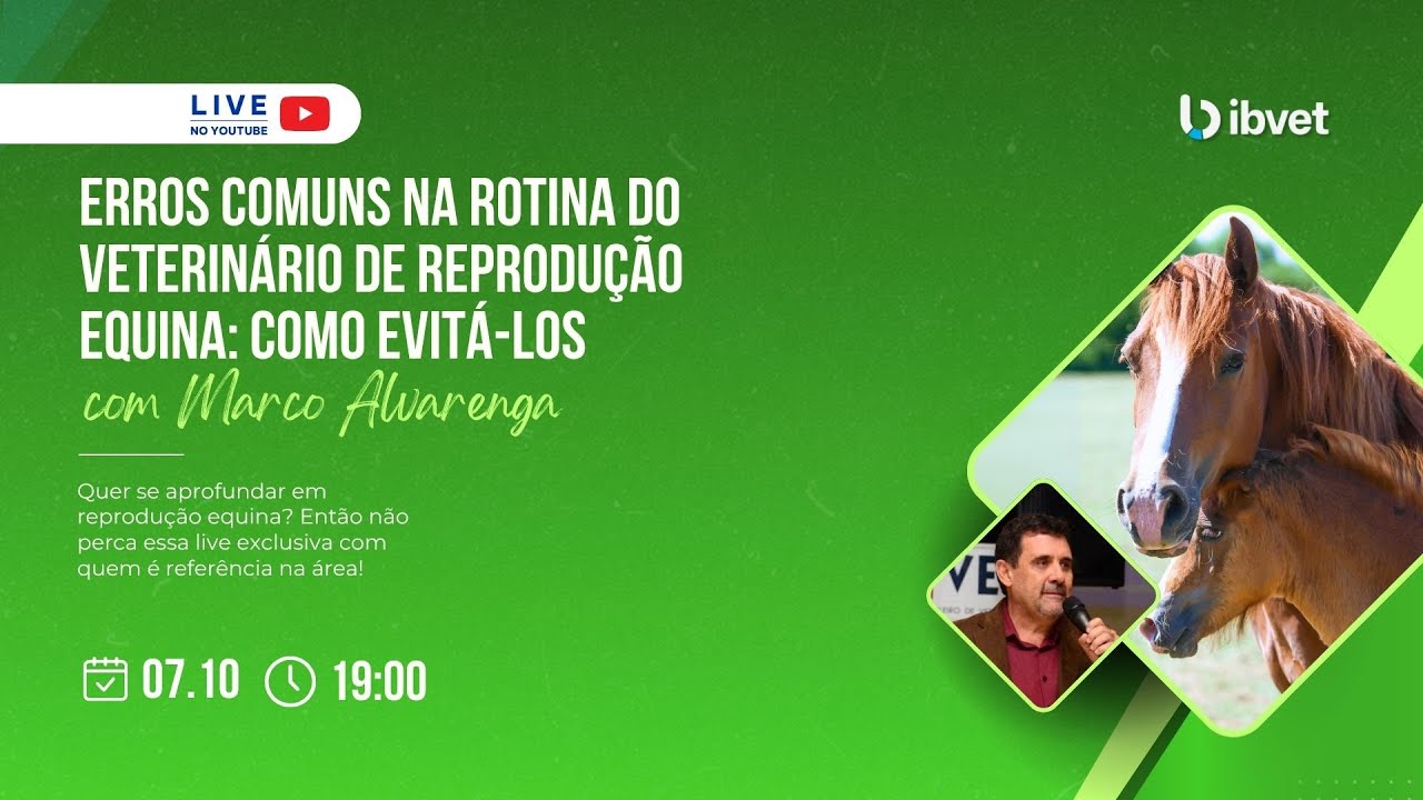 ERROS COMUNS NA ROTINA DO VETERINÁRIO DE REPRODUÇÃO EQUINA: COMO EVITÁ-LOS