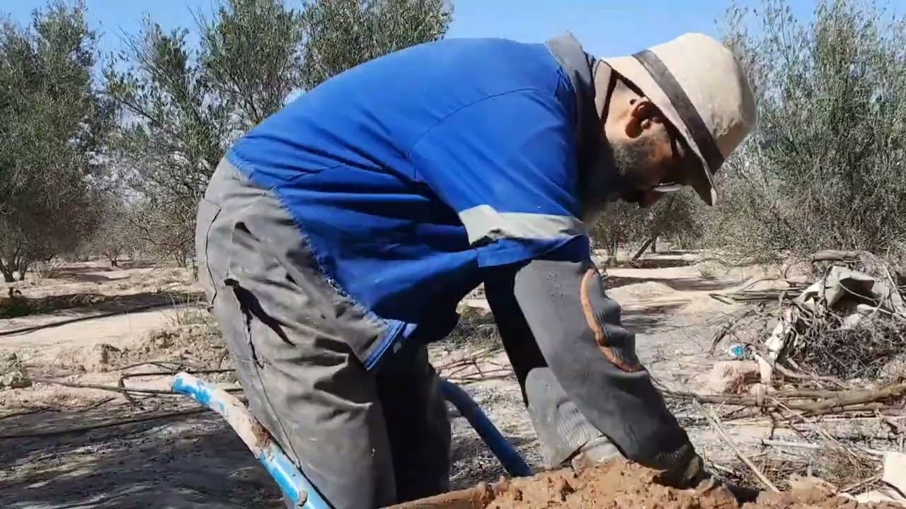 بناء خم للدجاج بالطريقة التقليدية