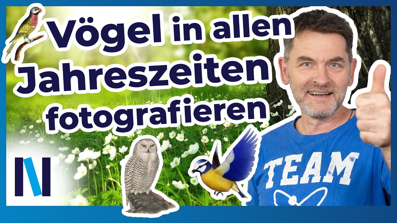 Vogelfotografie: Mit diesen Tipps zur Motivfindung in allen Jahreszeiten gelingen Dir perfekte Fotos