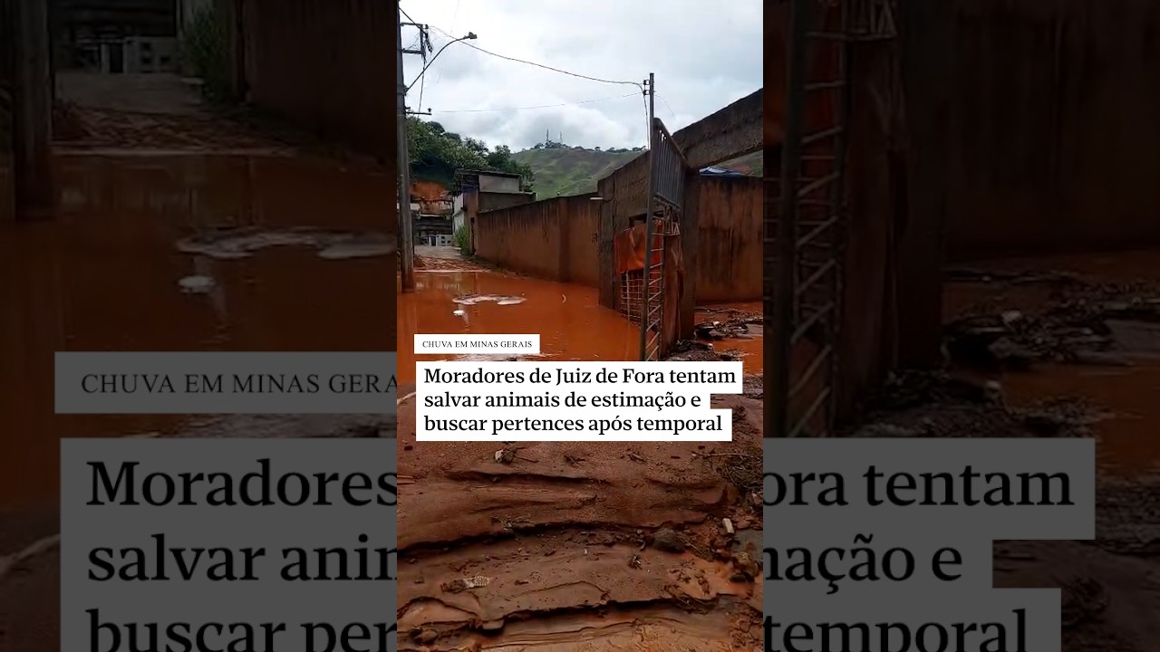 Moradores de Juiz de Fora tentam salvar animais de estimação e buscar pertences após temporal