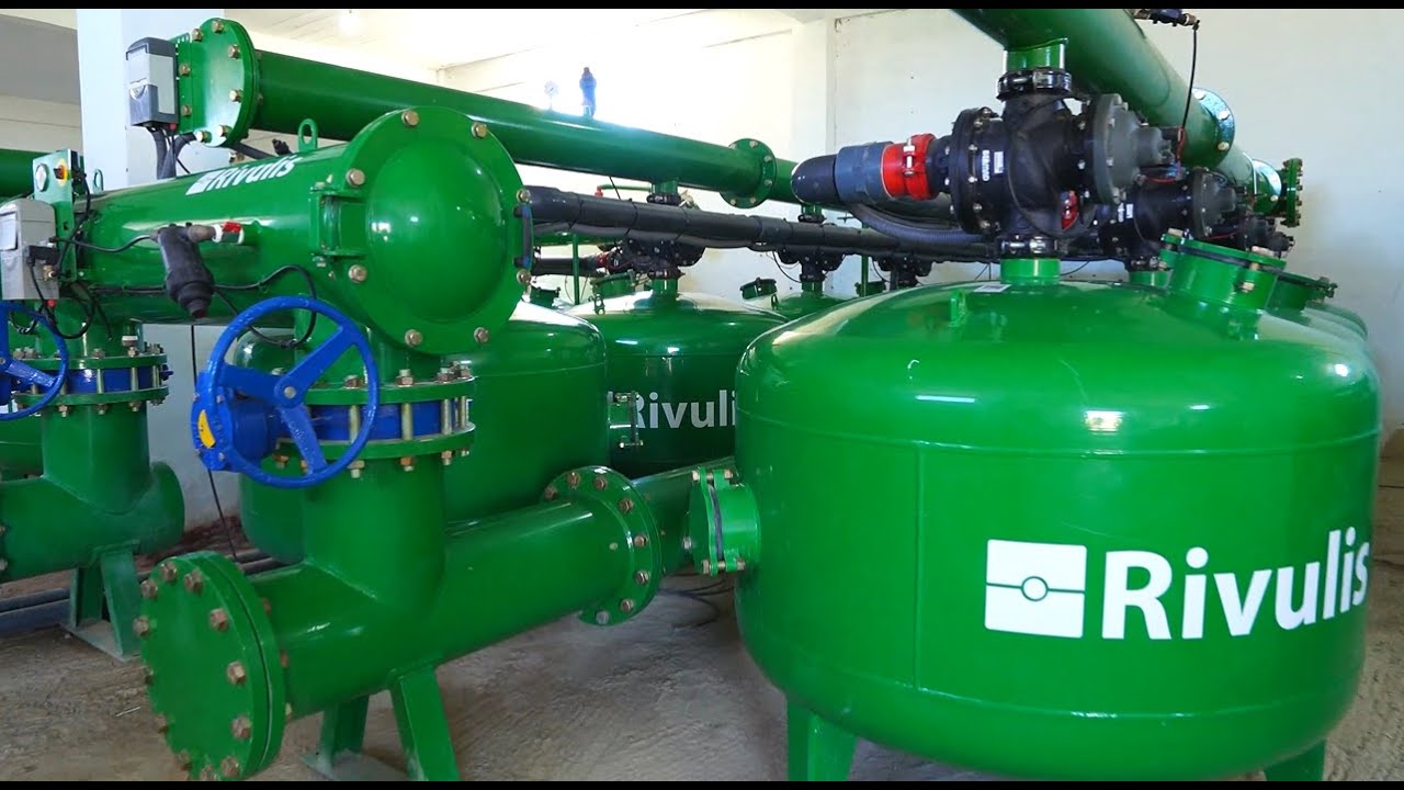 Transforming a 130-Hectare Citrus Farm in Morocco: Rivulis Redesign Delivers a 25% Yield Boost