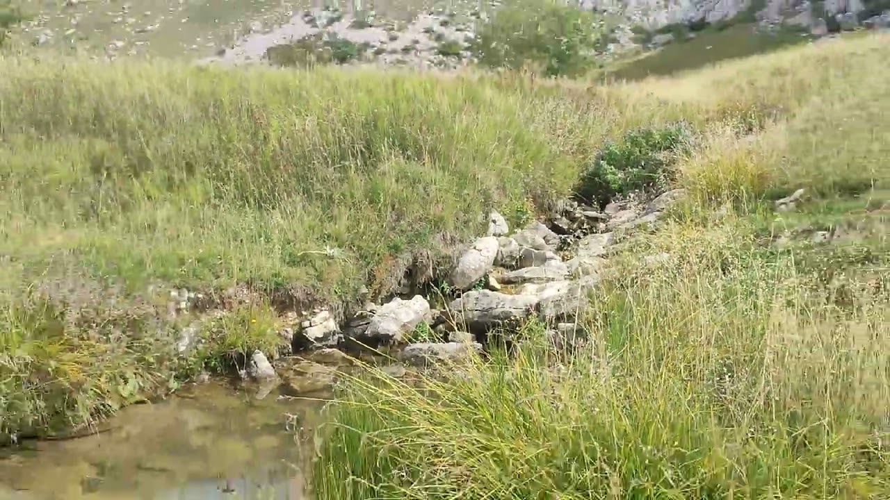 Studeni potok.Donja bara.Ljeljan.Mala ćaba.  Treskavica