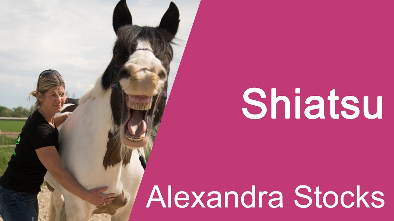 Alexandra Stocks - Shiatsu - Teil 1 - CHS2020