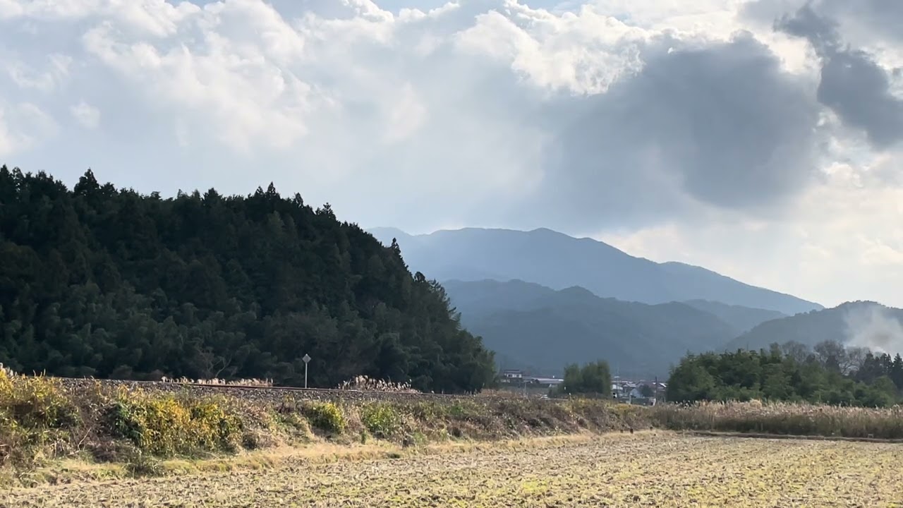 とある日のSLやまぐち号
