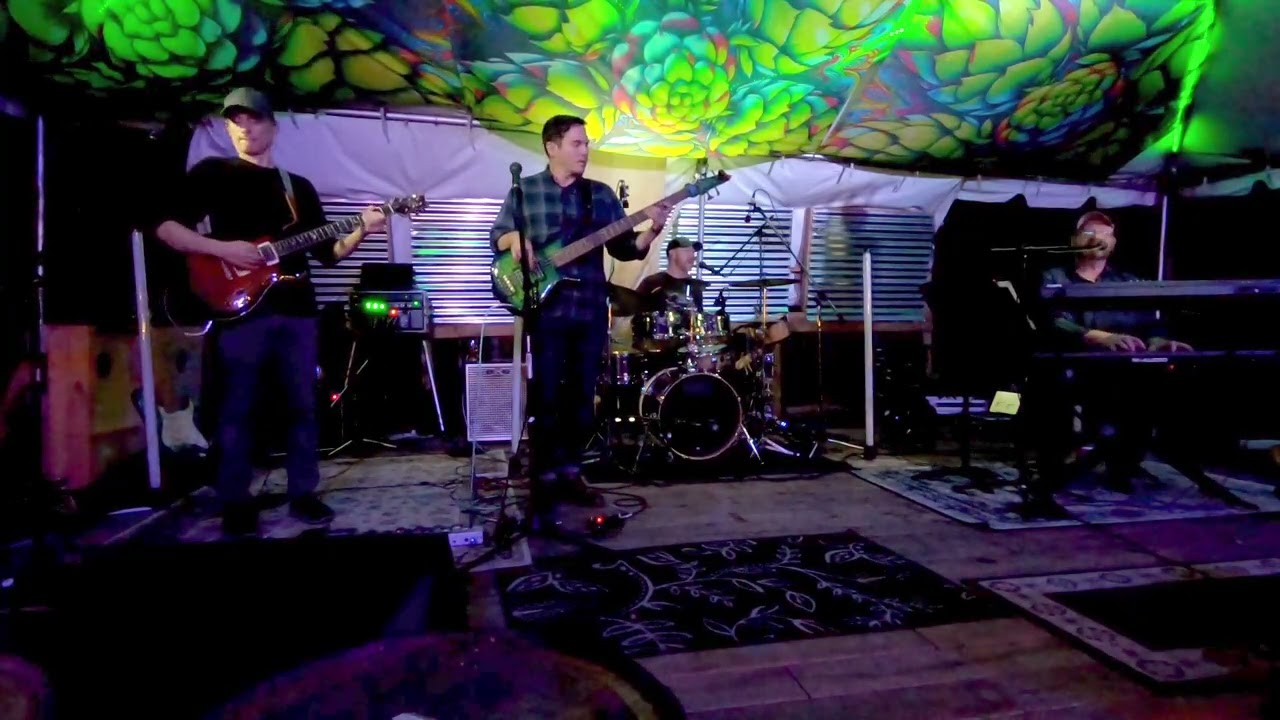 Down with Disease played by Sonic Vimana