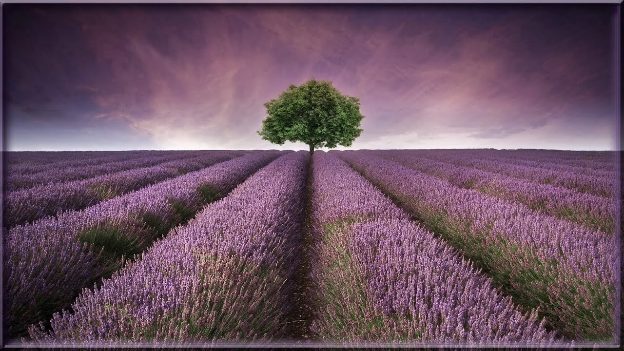 Sprüche u. Zitate ♡ Achtsamkeit *❀*