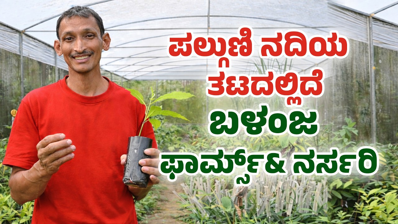 Palguni ನದಿಯ  ತಟದಲ್ಲಿದೆ Balanja Farms & Nursery