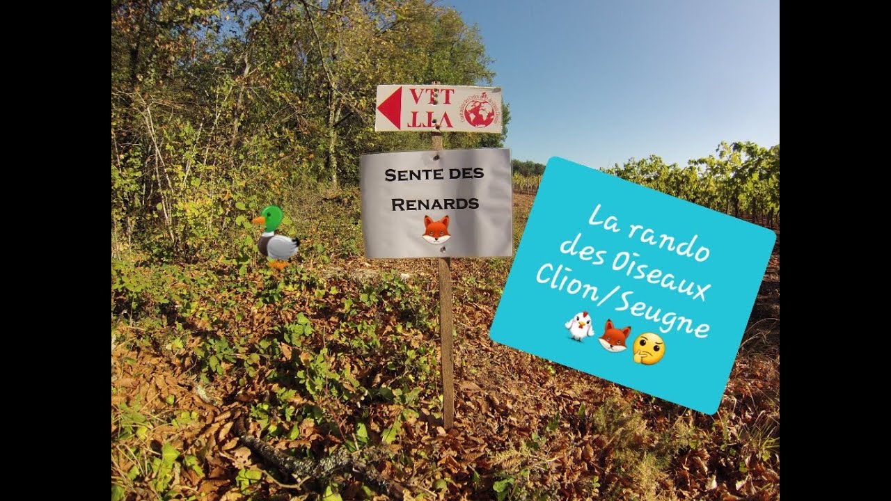 Rando des Oiseaux VTT à Clion sur Seugne 2022
