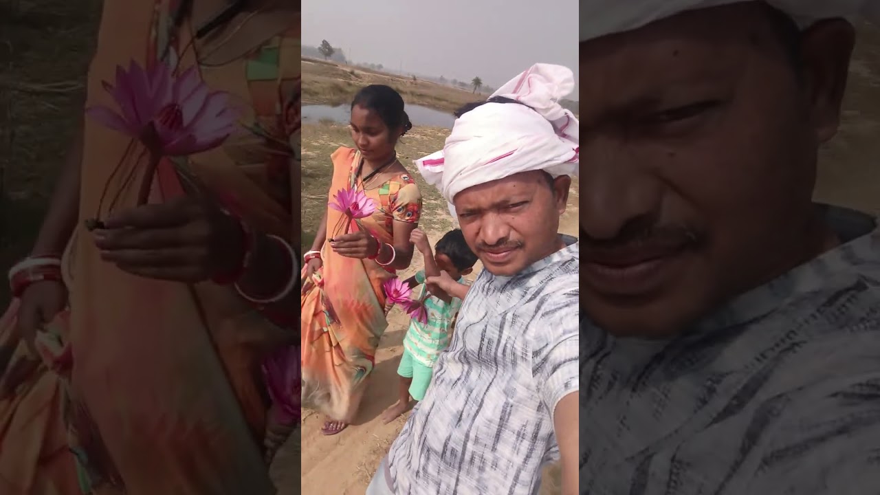 ଆମ ଗାଁ ପାଖ ନଈ ପଖରି ବାଛୁରୀପାଲ ମୟୂରଭଞ୍ଜ କେତେ ସୁନ୍ଦର ହେଇଚି 🐠🐟🐡🐡🐟🐡🐦‍🔥🦢🦆🪿🐬🦈🦐🦞🦀🦞🦂🐙🦂🦟🐙🦞🦞🦞🦞🦞🦞🦞