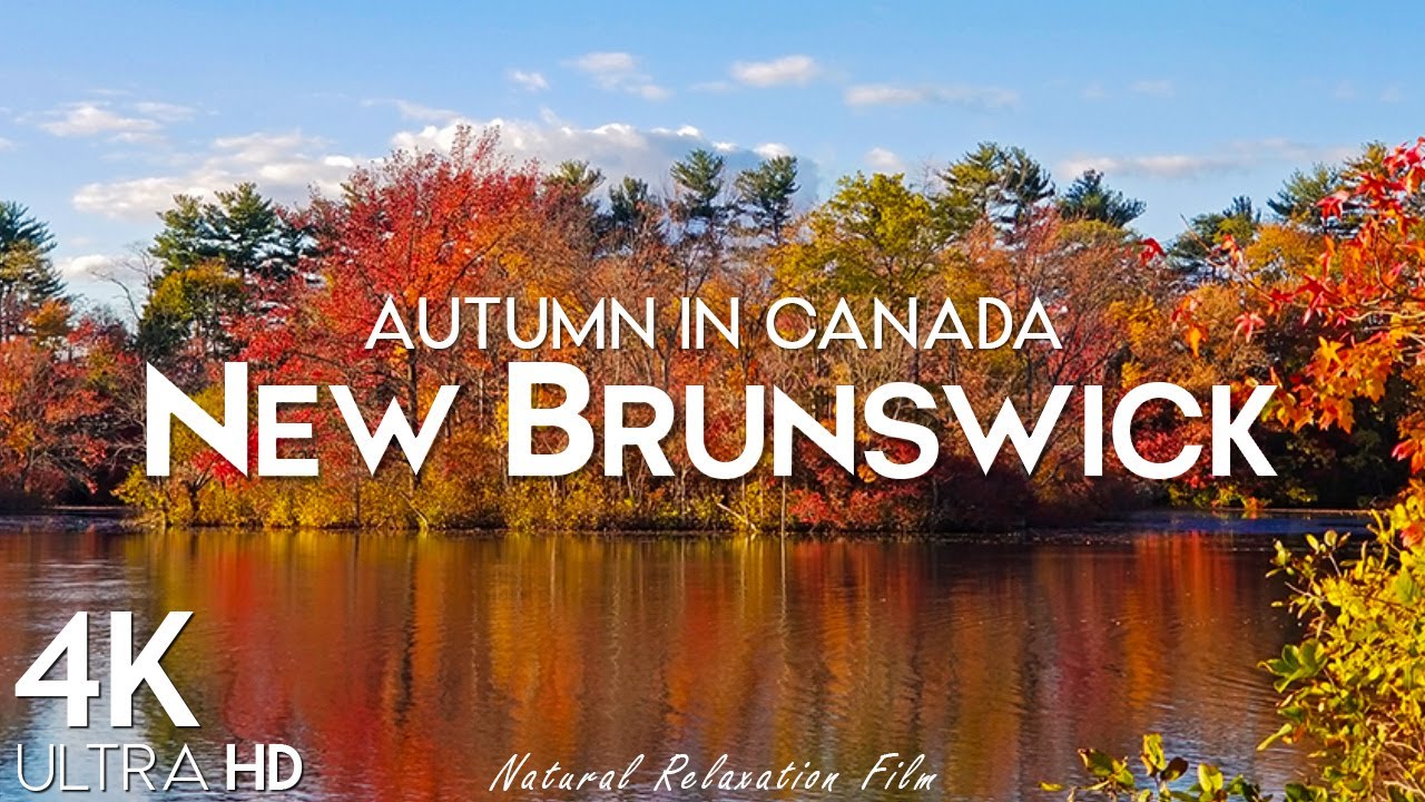 Autumn New Brunswick, Canada 4K UHD - Scenic Relaxation Film With Relaxing Music and Nature Videos