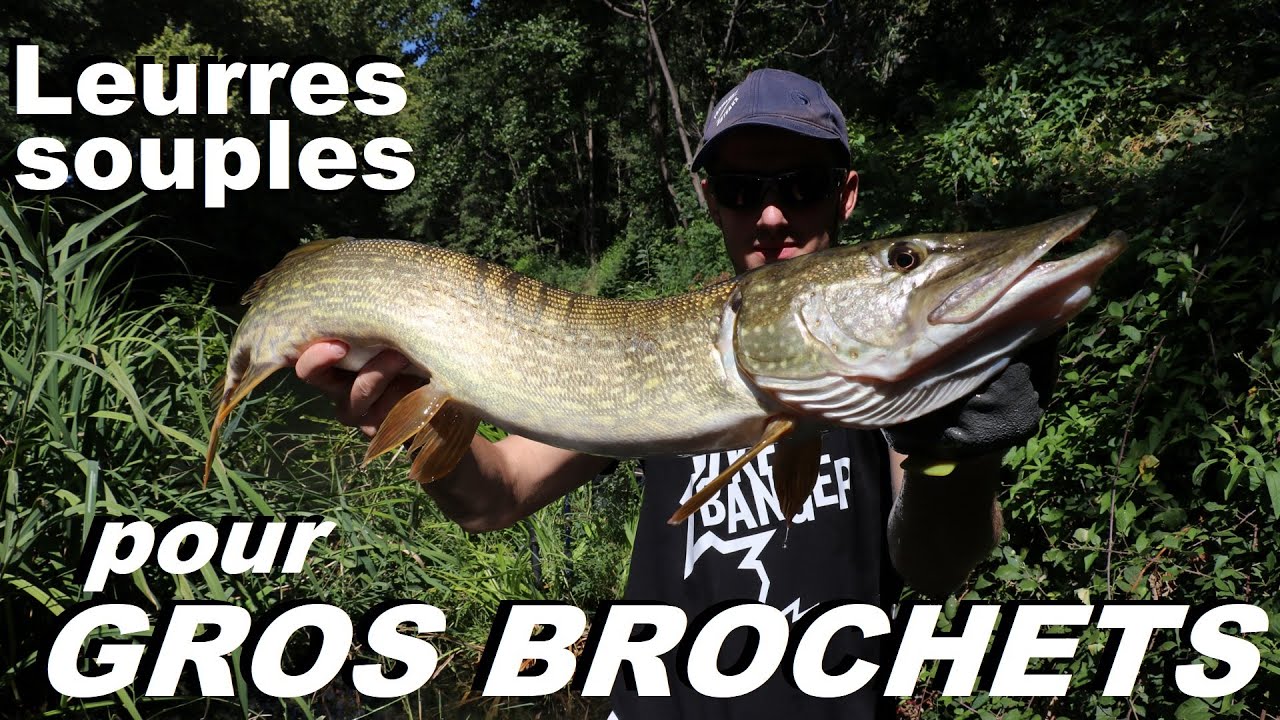 MES MEILLEURS LEURRES SOUPLES POUR PÊCHER LE BROCHET