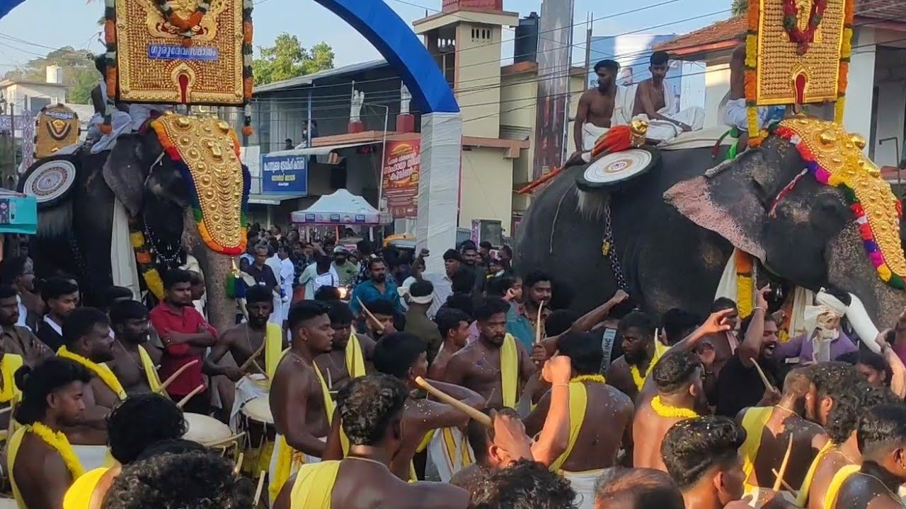 ഗജങ്ങളെ സ്വീകരിക്കാൻ എത്തിയ ശിങ്കാരിമേളം ടീമുകൾ | Mathikunnu Vela | ഒരു രക്ഷയുമില്ല | 2025