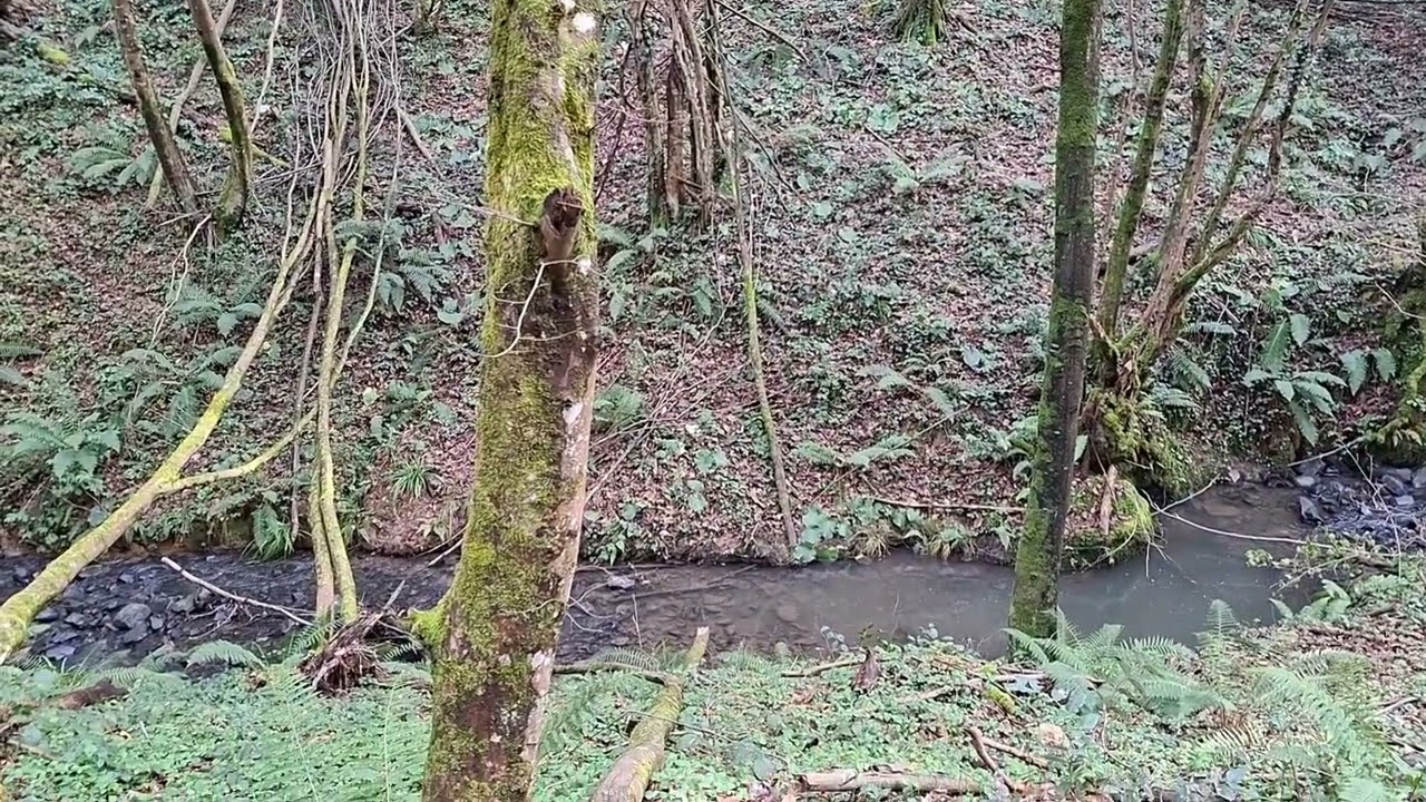 Yoksulluğun Türküsü