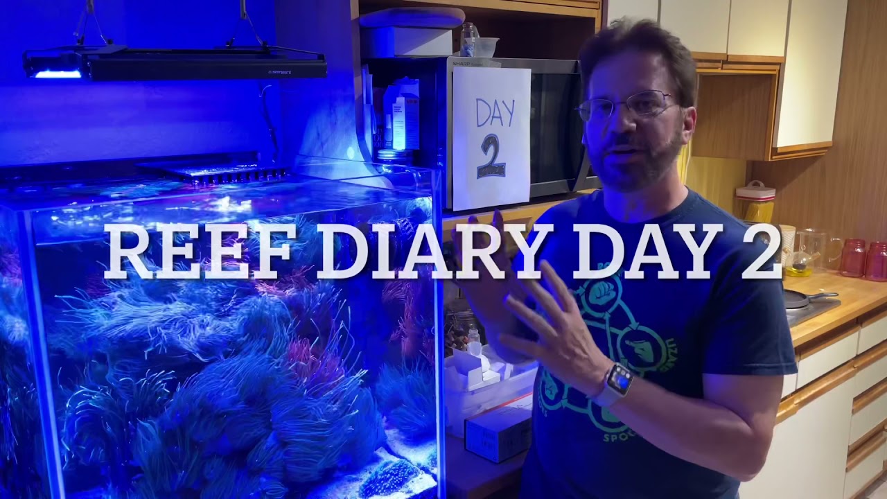 Reef Diary: Day 2