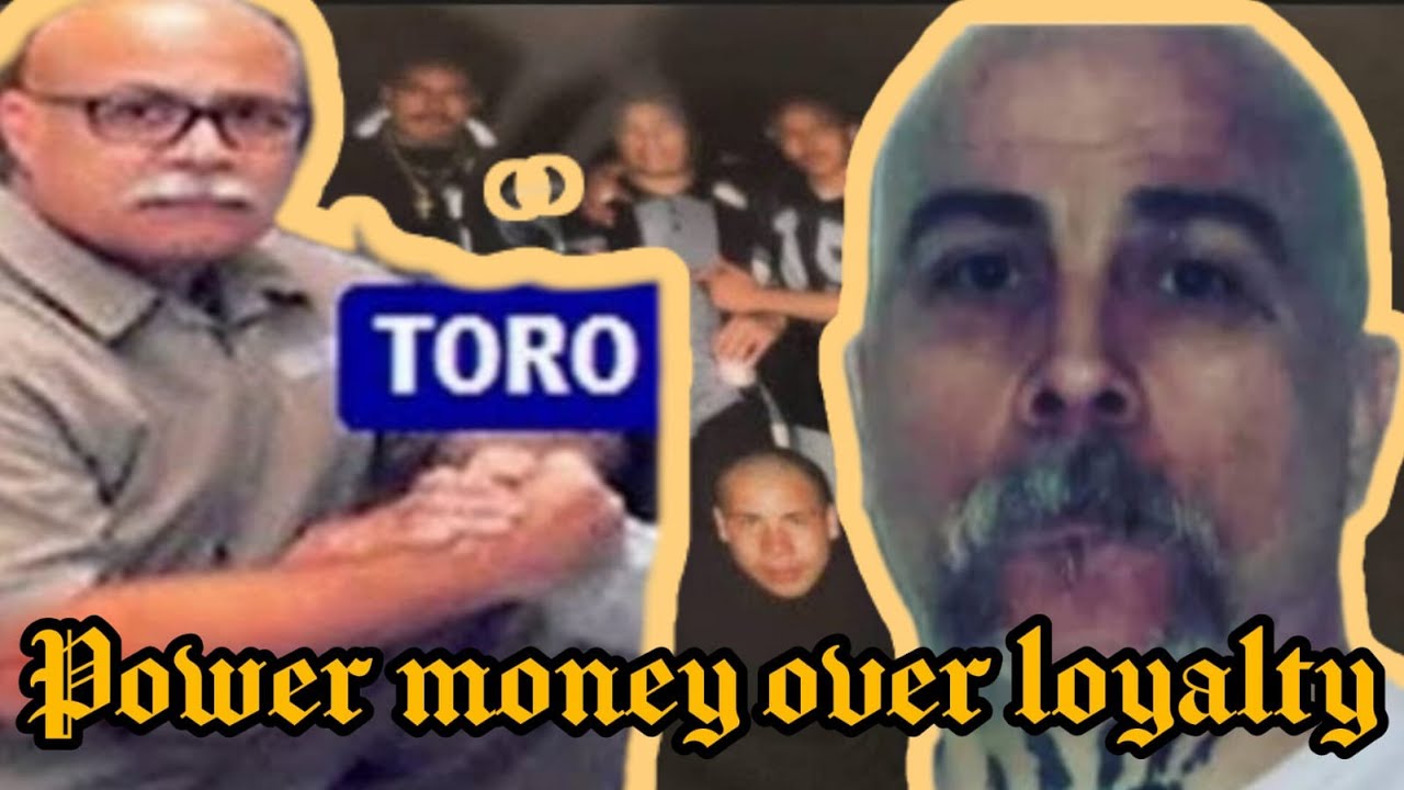 Hüero verde does the unthinkable and bites the hand that gave him so much, against toro #fontana