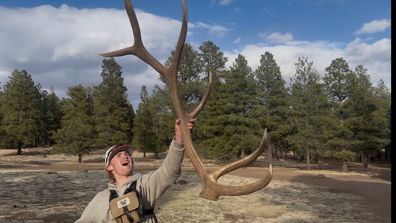 2025 ELK SHEDS || SHEDICATED OUTDOORS