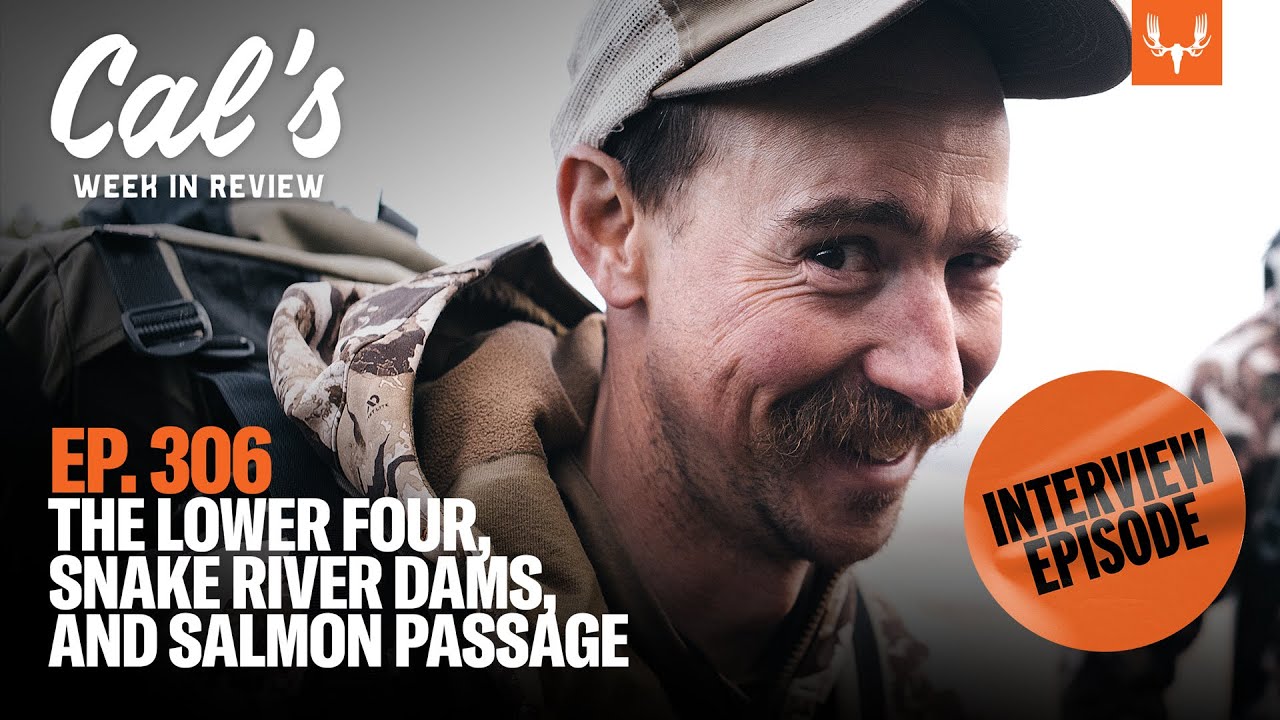 The Lower Four, Snake River Dams, and Salmon Passage | Cal's Week in Review Ep. 306