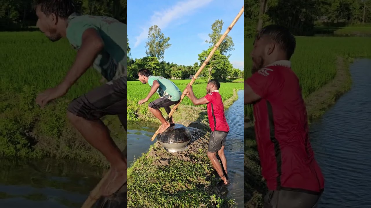 Funny in the pond water
