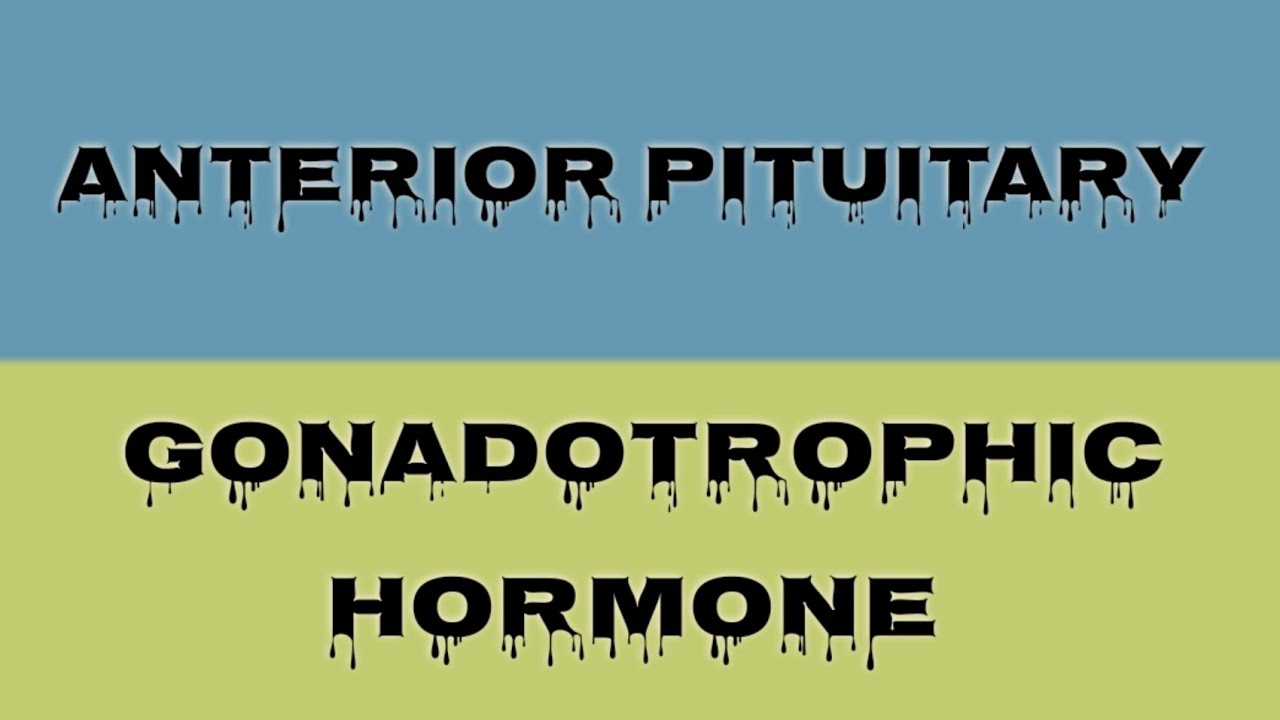 Gonadotrophic hormone | class 10| Life science| chapter 1| madhyamik 2026