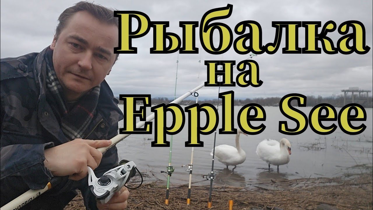 Активная рыбалка🎣 на Epple See клюнула ПЛОТВА и ЯЗЬ #РЫБАЛКА #angeln #fishing #pêche  #плотва #язь