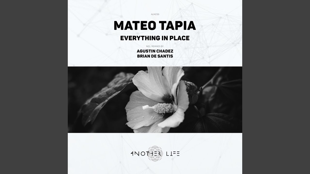 Everything in Place (Brian De Santis Remix)