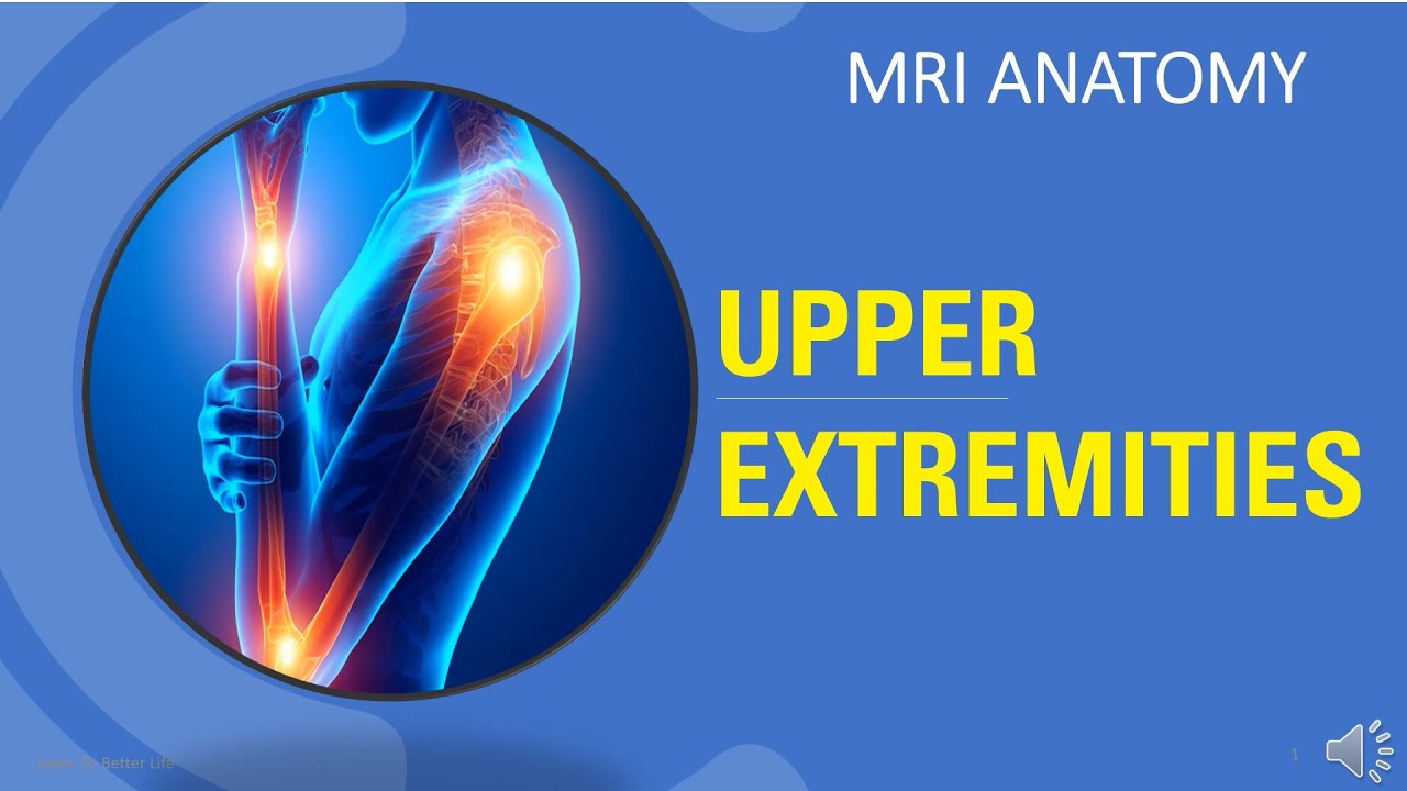MRI Board Review - Upper Extremities Anatomy.