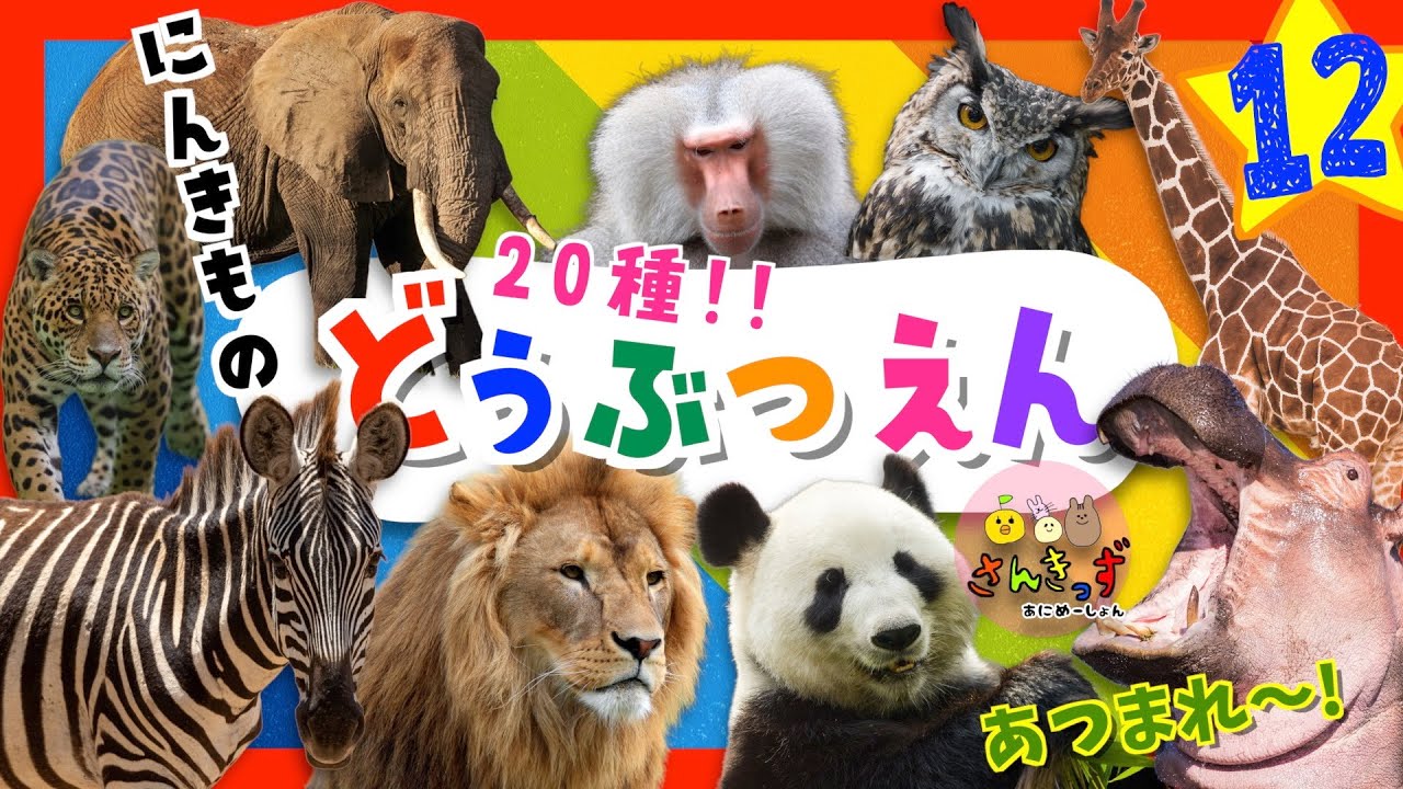 【どうぶつ知育アニメ 】動物園へ行こう！part12☆【赤ちゃん 子供向け 】キリン ライオン パンダなど どうぶつえんで人気の動物が20種 大集合！動く動物図鑑で動物の名前を覚えよう◎